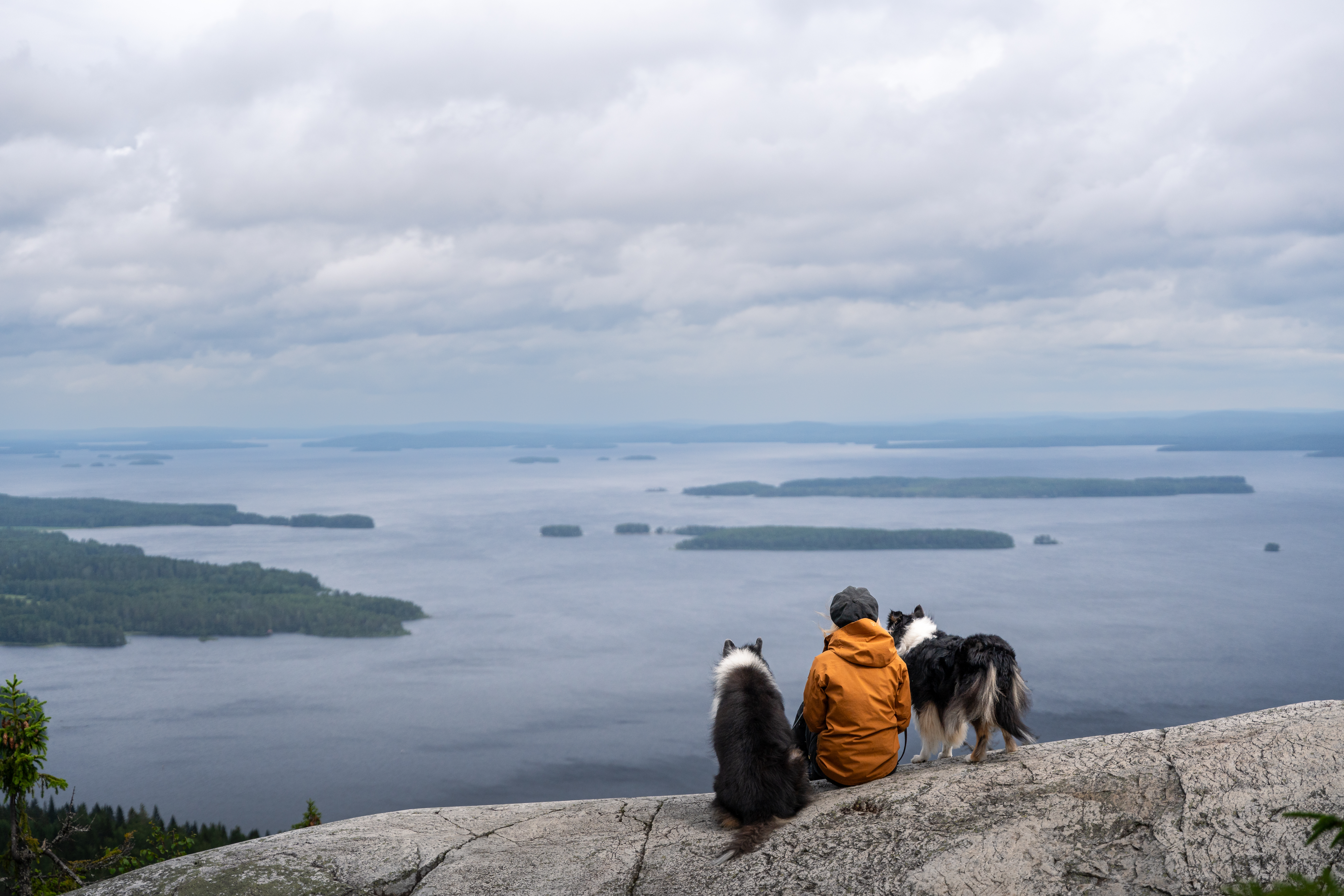 Koli Nature Centre Ukko - design and manufacture by Motor.