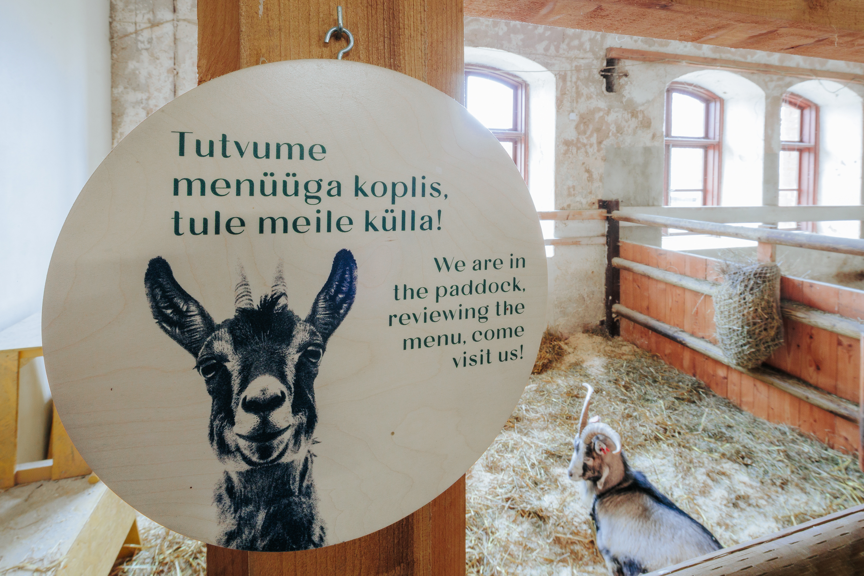 2026_muhk-naitus_motor_foto-timo-arbeiter-38