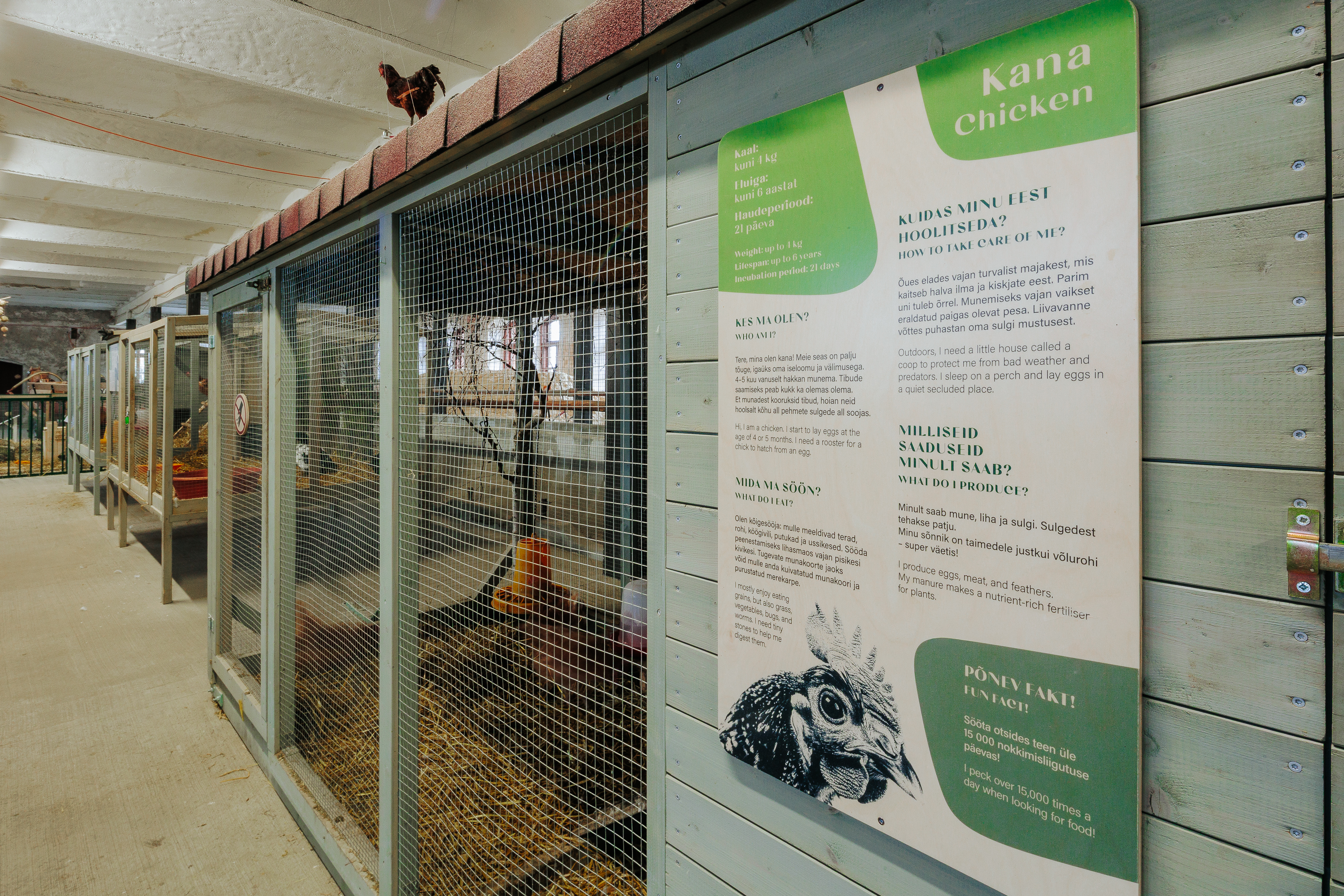 2026_muhk-naitus_motor_foto-timo-arbeiter-37