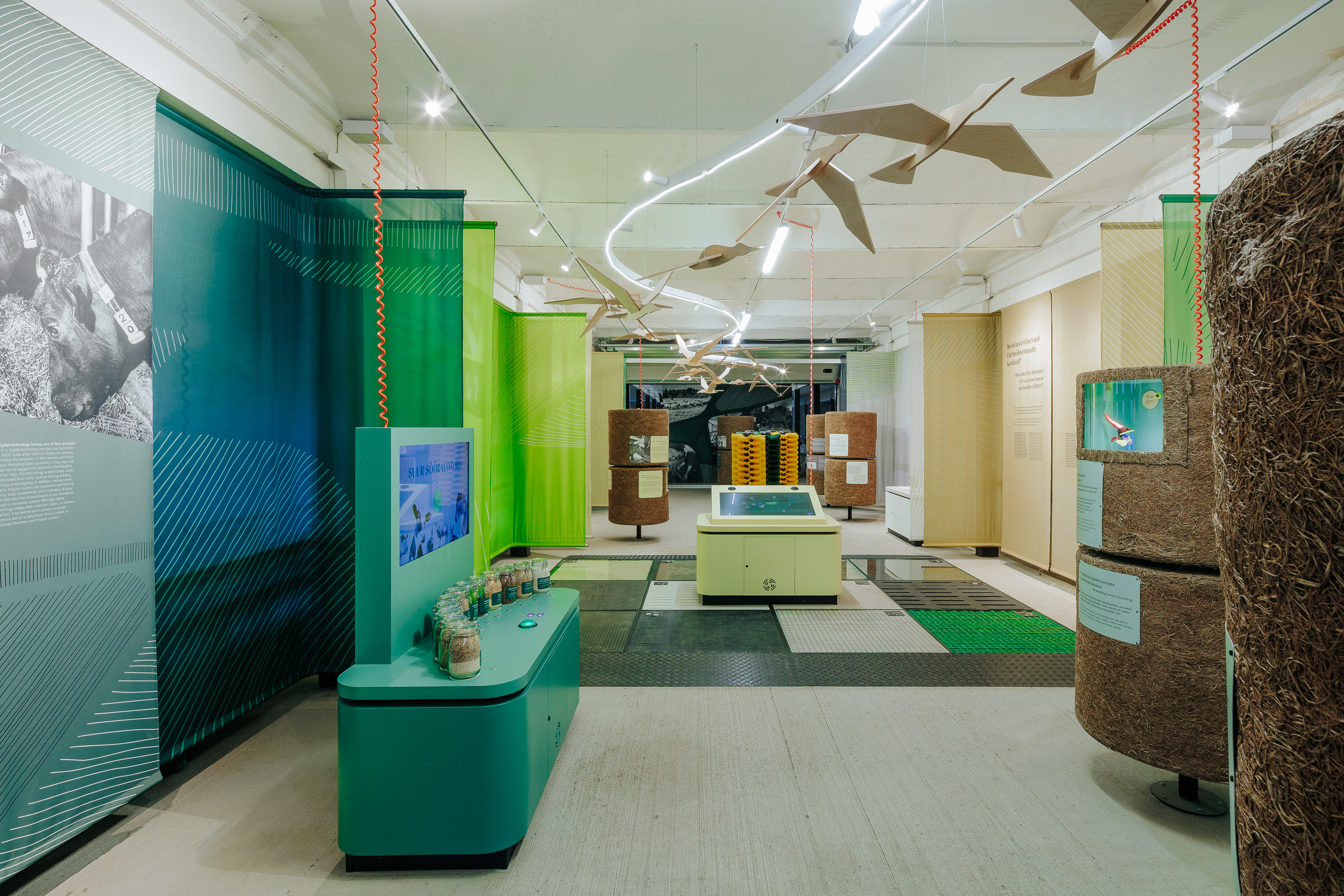 2026_muhk-naitus_motor_foto-timo-arbeiter-25