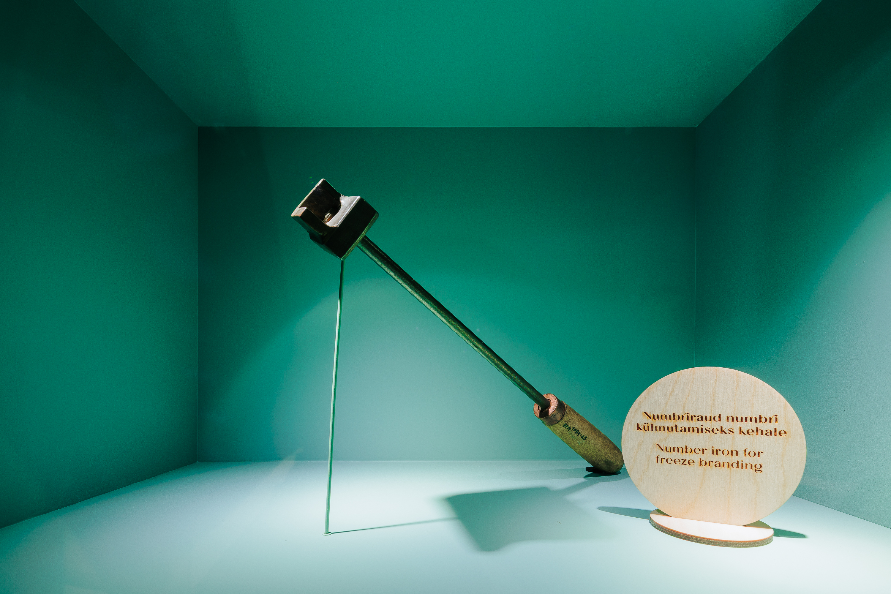 2026_muhk-naitus_motor_foto-timo-arbeiter-14