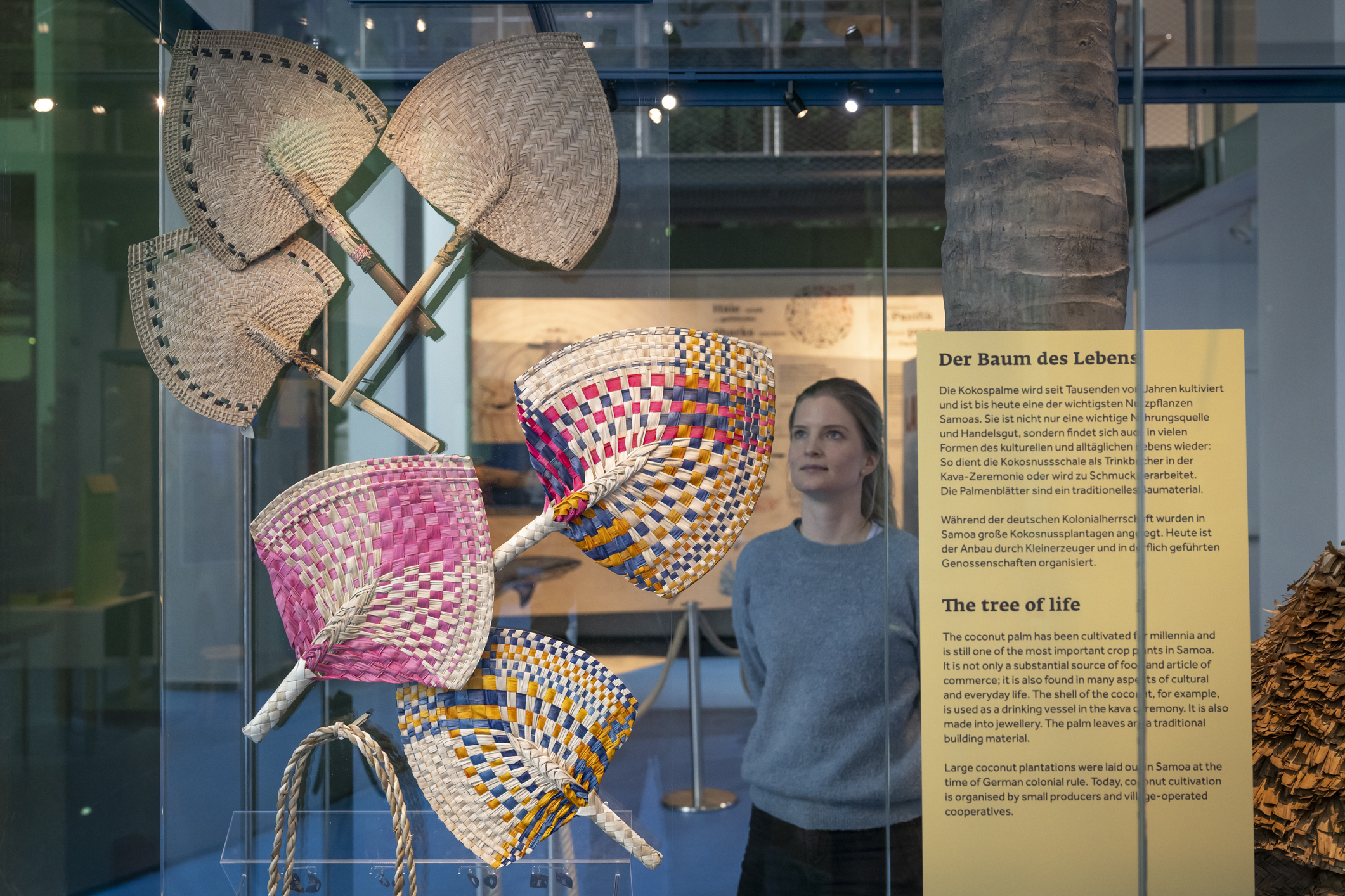 Der blaue Kontinent_Bereich Ressourcennutzung_Kokosnuss_(c) Übersee-Museum Bremen_Volker Beinhorn