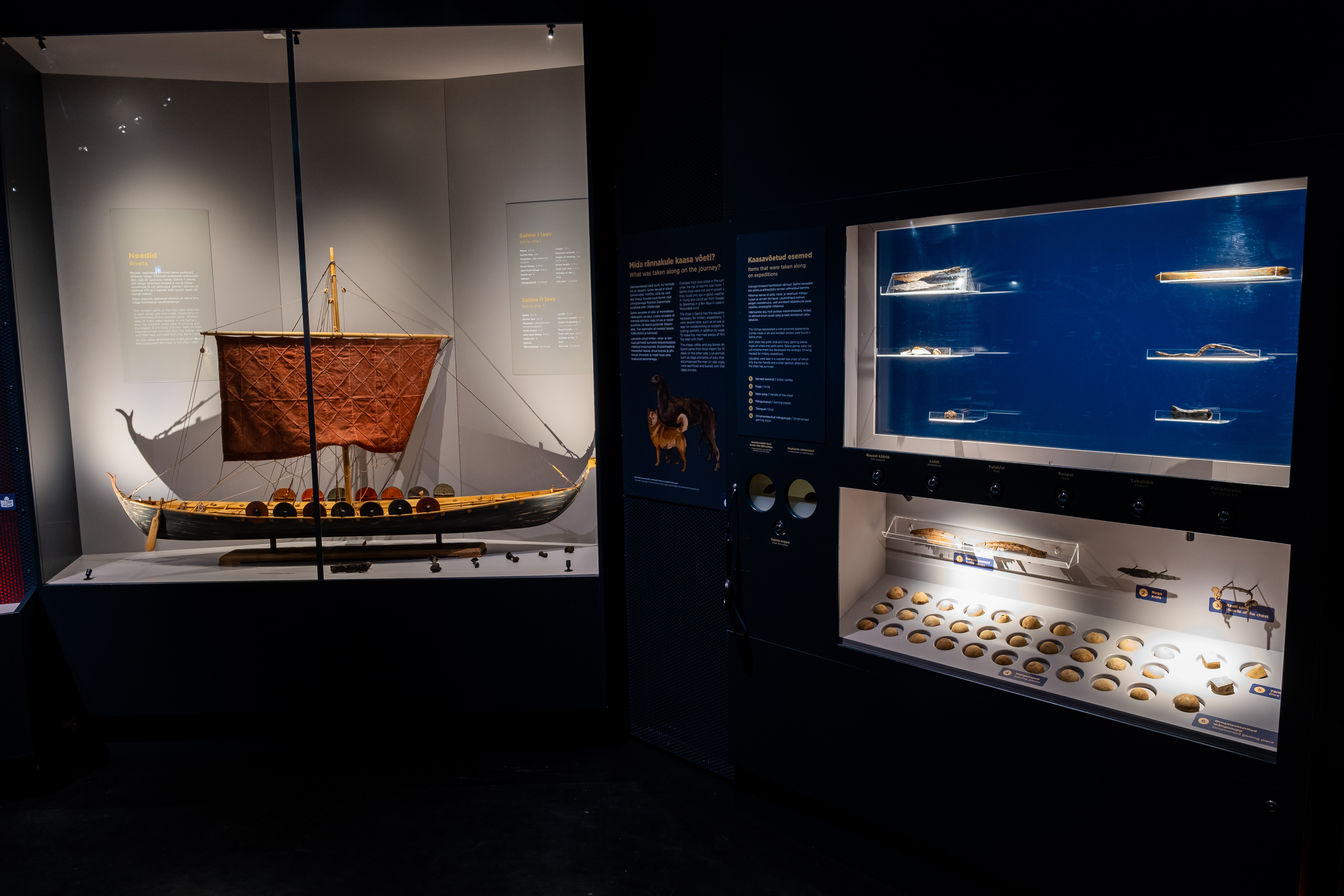 The history-changing findings of Salme ship burials offer a look into how vikings lived 1300 years ago and this award winning exhibition tells the story they revealed.