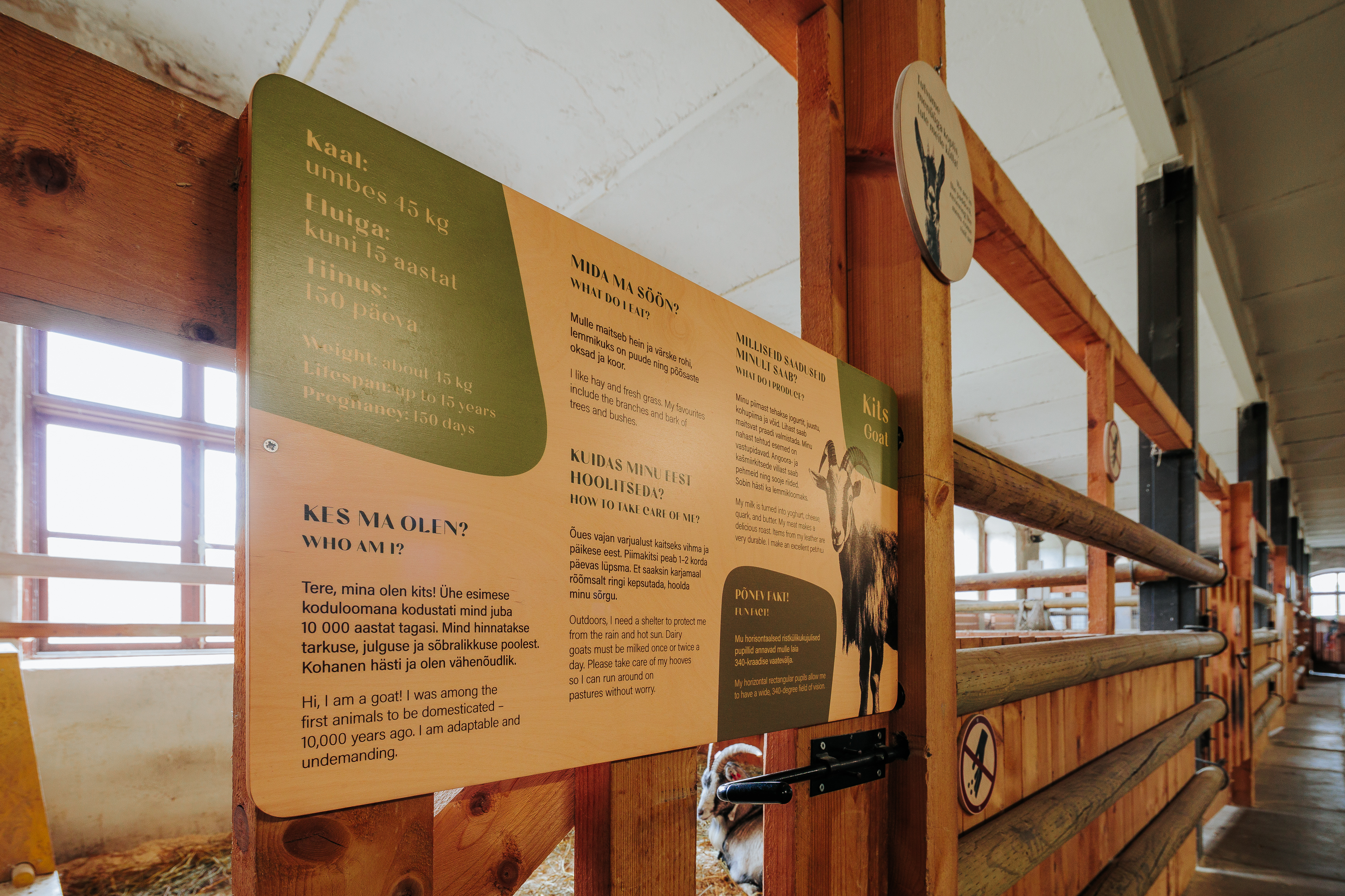 2026_muhk-naitus_motor_foto-timo-arbeiter-36