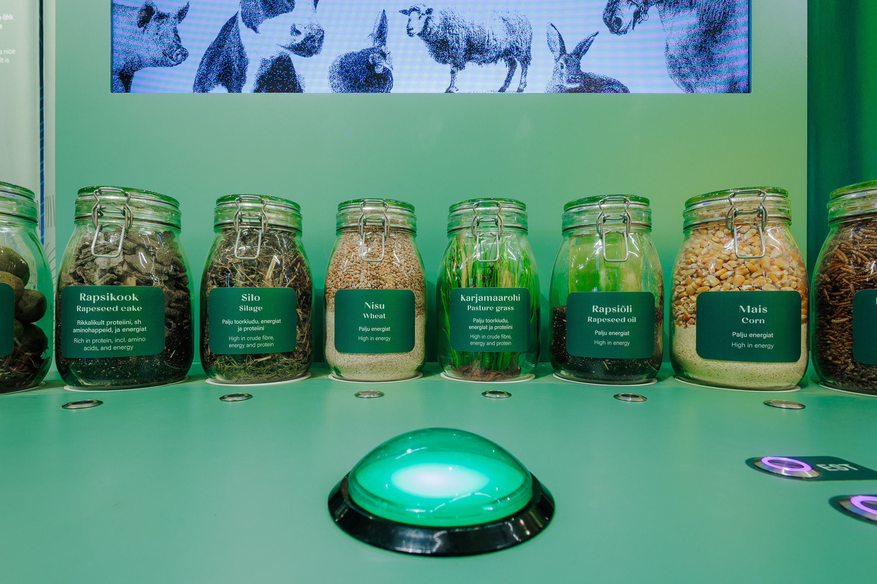 2026_muhk-naitus_motor_foto-timo-arbeiter-16