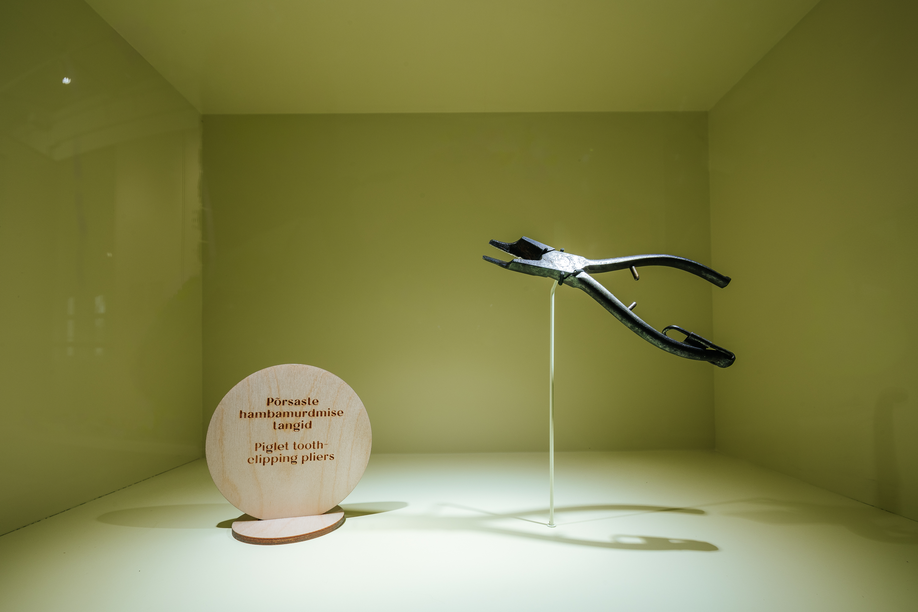 2026_muhk-naitus_motor_foto-timo-arbeiter-12