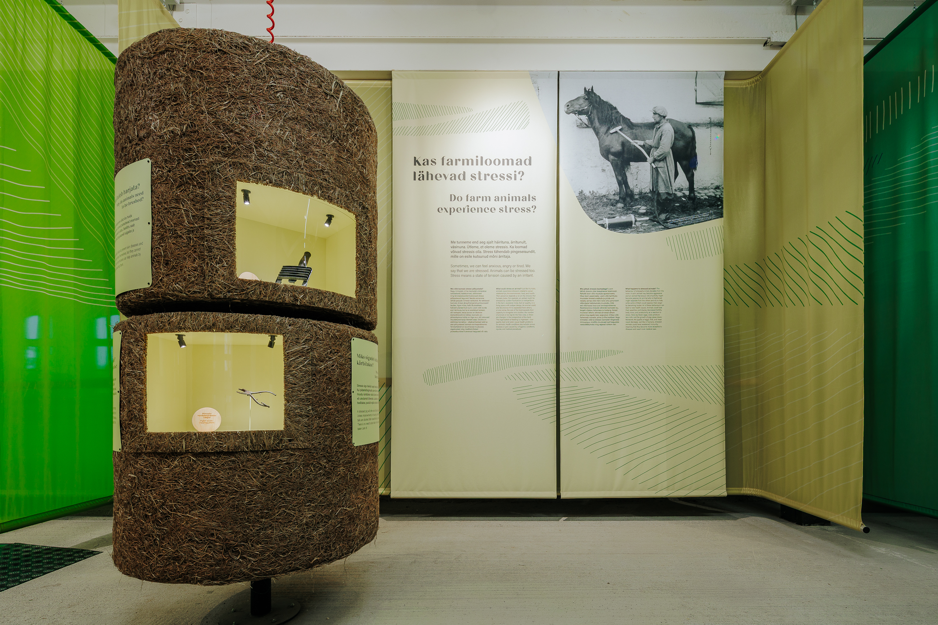 2026_muhk-naitus_motor_foto-timo-arbeiter-33